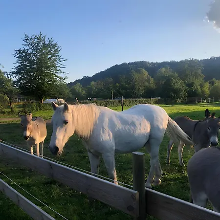 Сasa de vacaciones Les Aubennes *